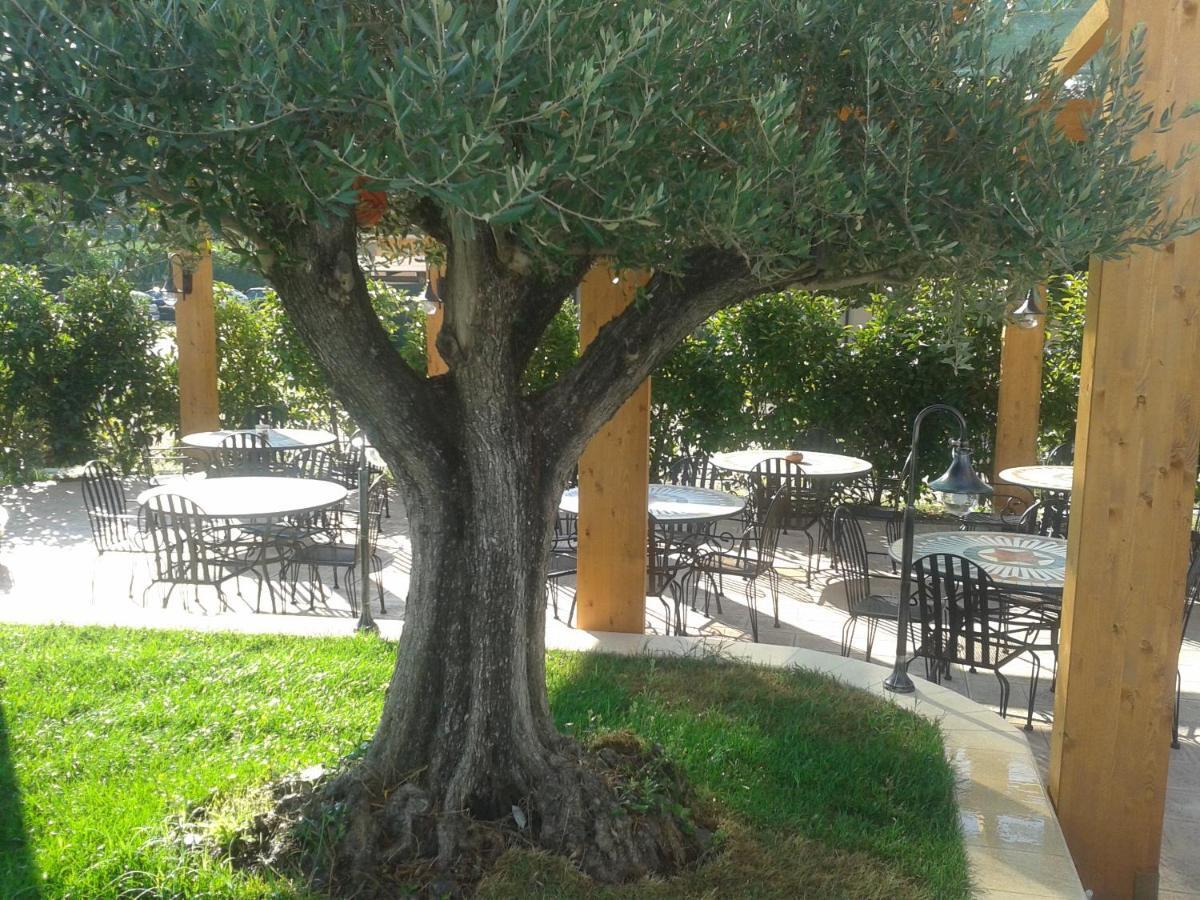 Hotel Villa Aurora لاتينا المظهر الخارجي الصورة